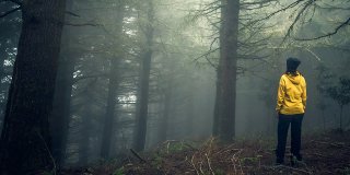 TRENDHOUSE CASUAL & SPORTSWEAR /W 27/28...